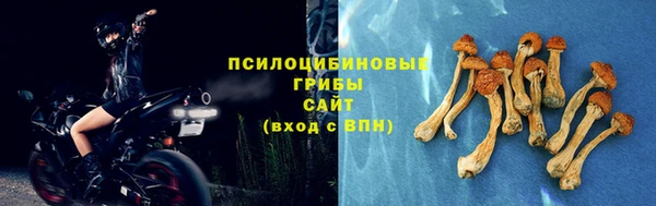 СК Богородск