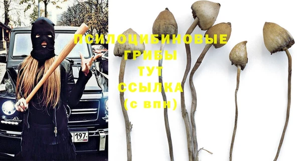 a pvp Белоозёрский