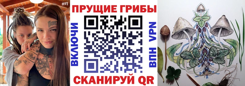 Псилоцибиновые грибы Psilocybine cubensis  Белоозёрский 